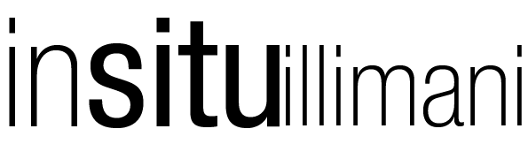 InsituIllimaniNEGRO